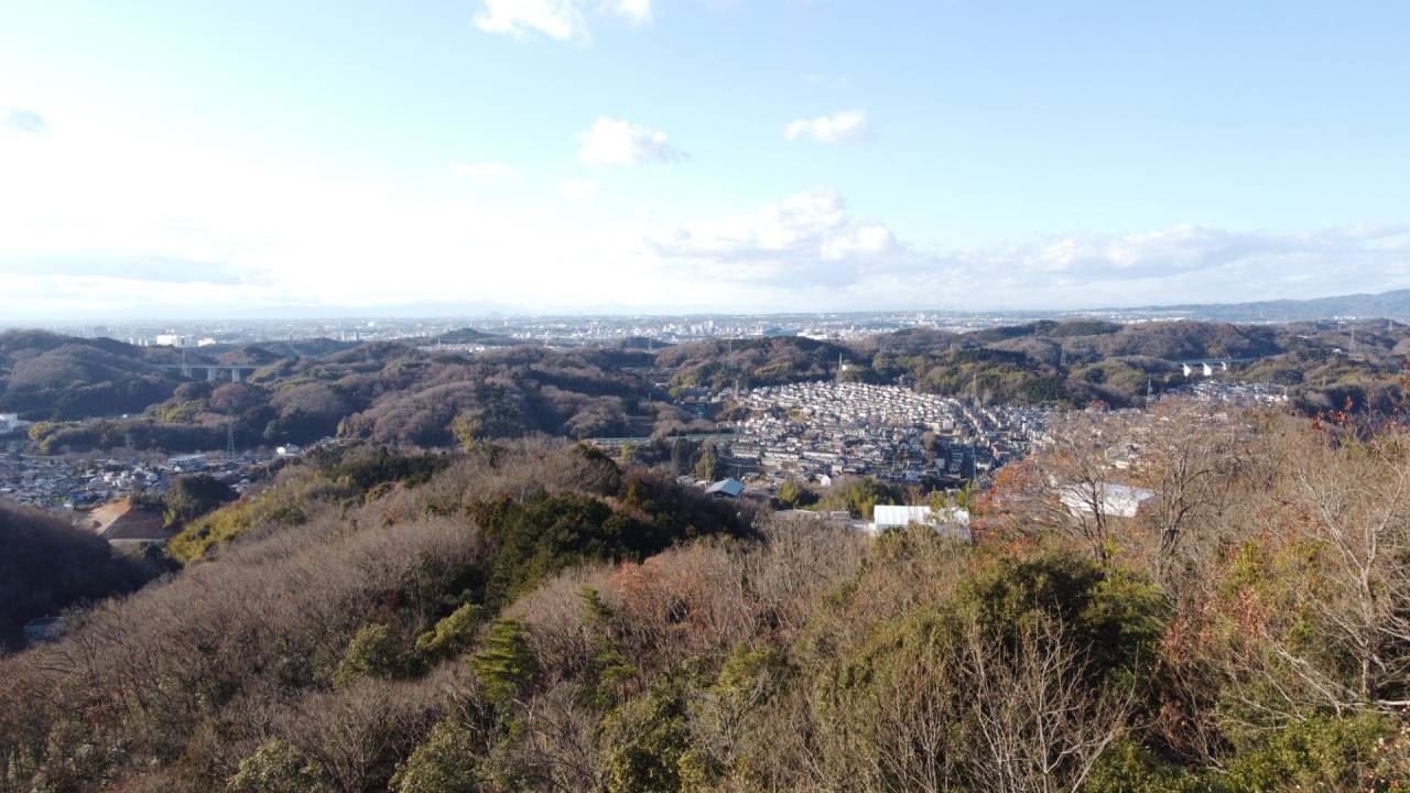 新年のご挨拶